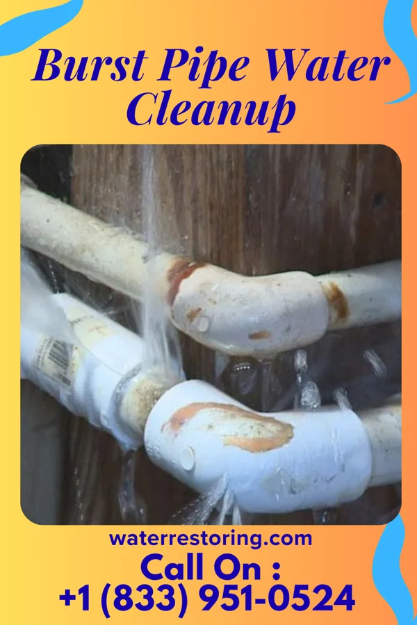 Burst Pipe Water Cleanup in Shady Grove, OK